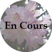 En Cours