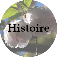 Histoire