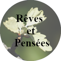 Et si nous rêvions de nos pensées ? Que nous pouvions interagir avec ces êtres qui guident nos pas comme la Passion, l'Innocence ou encore l'Espoir...